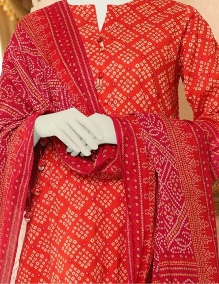 Saya Luxury Fancy Red Chikan Kari...