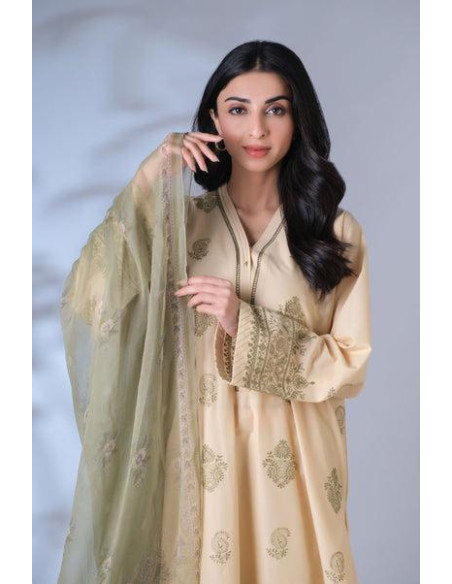 2 Pce Women Unstiched cotton suit 