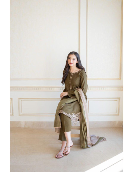 3 pcs embroidered dress