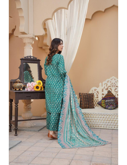 Stunning 3 pcs embroidered khaddar 