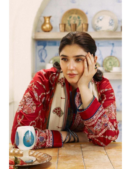 Women's embroidered Dhanak dress 