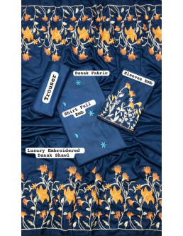 Women's Dhanak dress 2