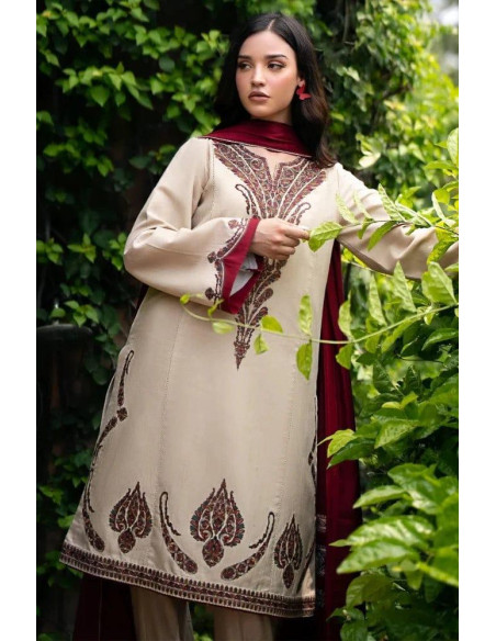 Embroidered Dhanak dress