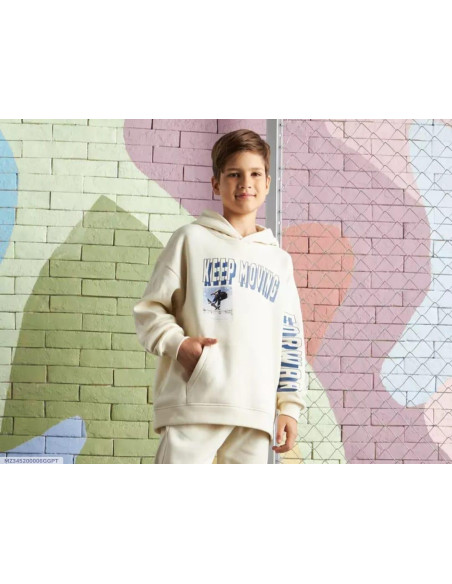  Hoodie for  Boy's Fleece Printed Hoodie