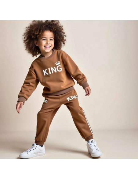 2 Pcs Boy's Polyester Printed Tracksuit