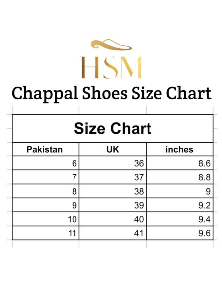 Women's Fancy Heel Shoes