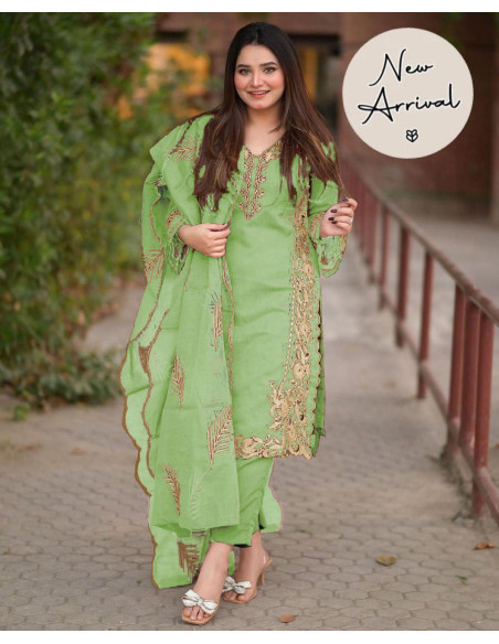 Stylish Organza Embroidered Suit Set for Women