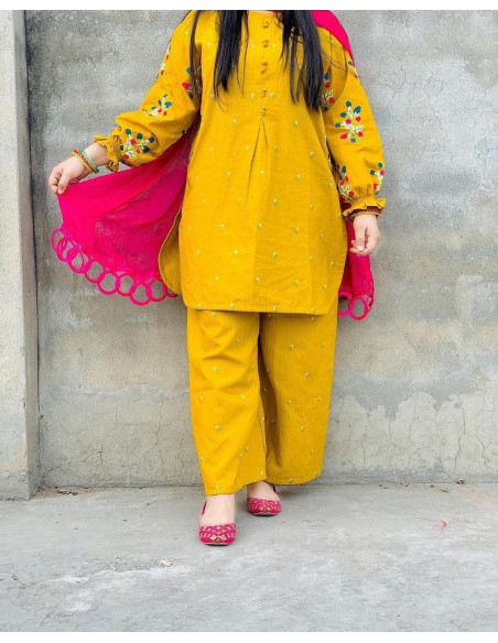 2 Pcs Women's Stitched Cotton Embroidered Shirt And Trouser