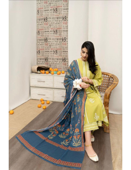 Stunning Green Embroidered Dhanak Suit Set  3 Pcs