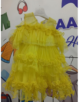 Fancy Baby Net Frocks 