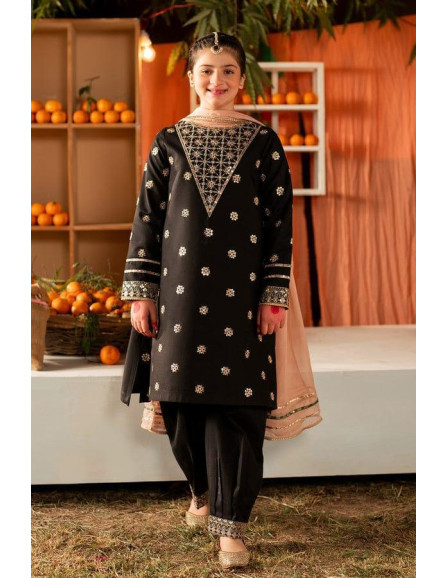 3 Pcs Girl's Lawn Embroidered...